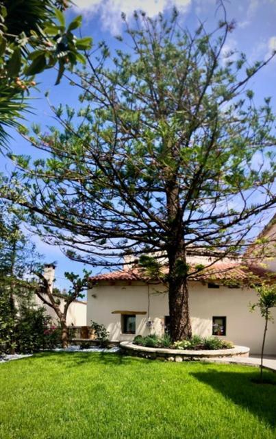 Penzion Chorio House Platanias Vrísai Exteriér fotografie